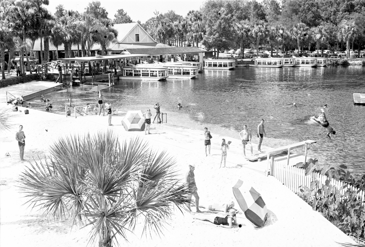 Silver Springs Swim Area Nearing Construction Phase Ocala Gazette